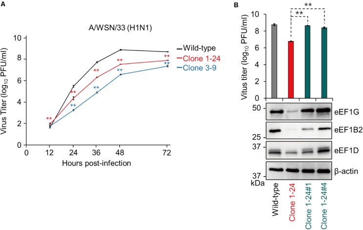 FIGURE 3