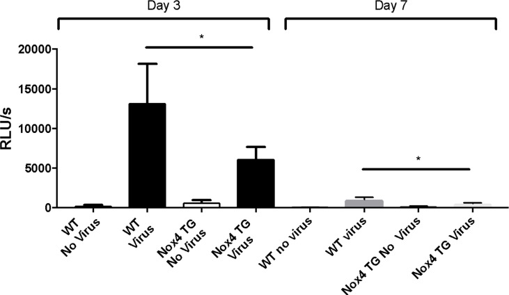 Figure 5