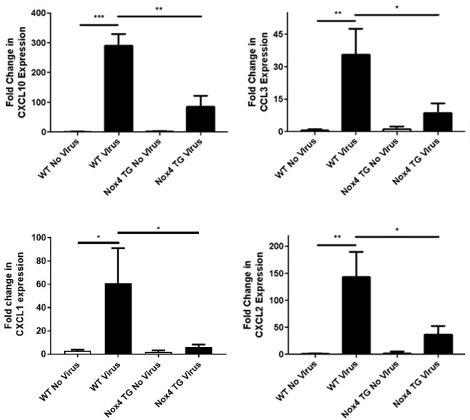 Figure 6