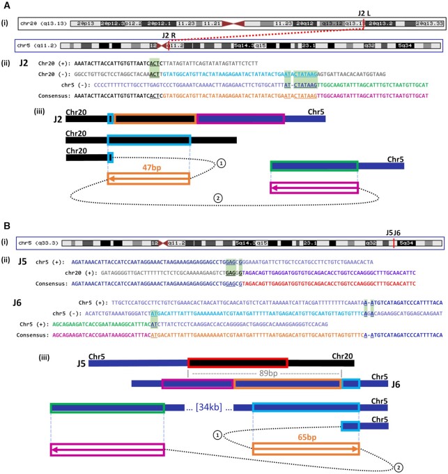 Figure 6.