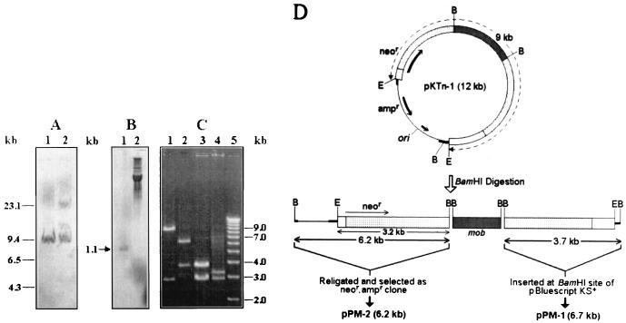 FIG. 1