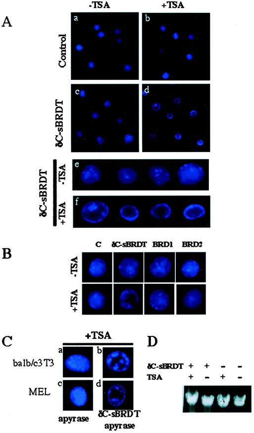 FIG.7.