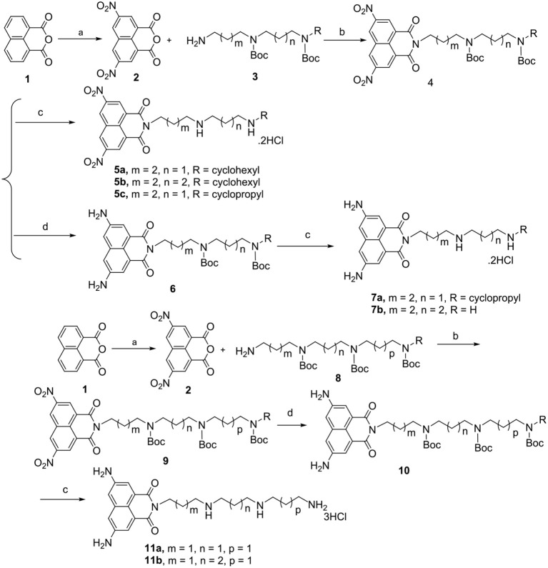 Scheme 1