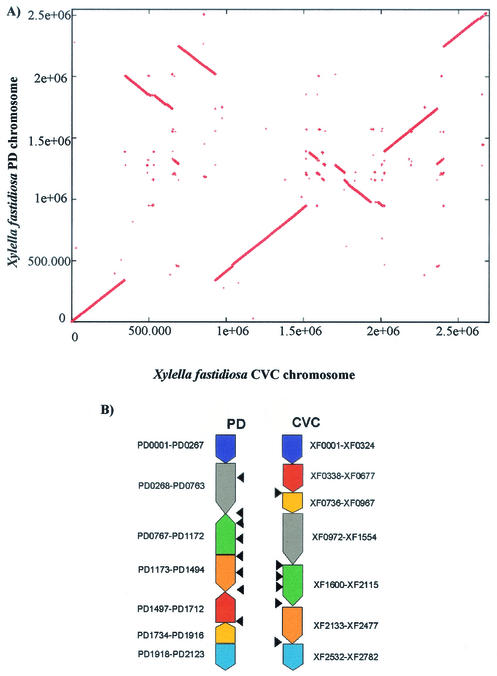 FIG. 2.