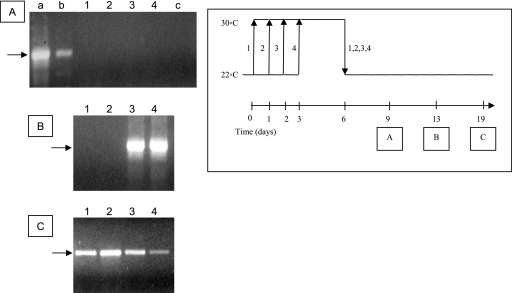 FIG. 5.