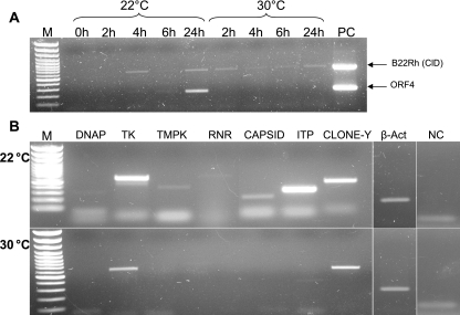 FIG. 8.