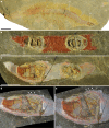 Fig. 4