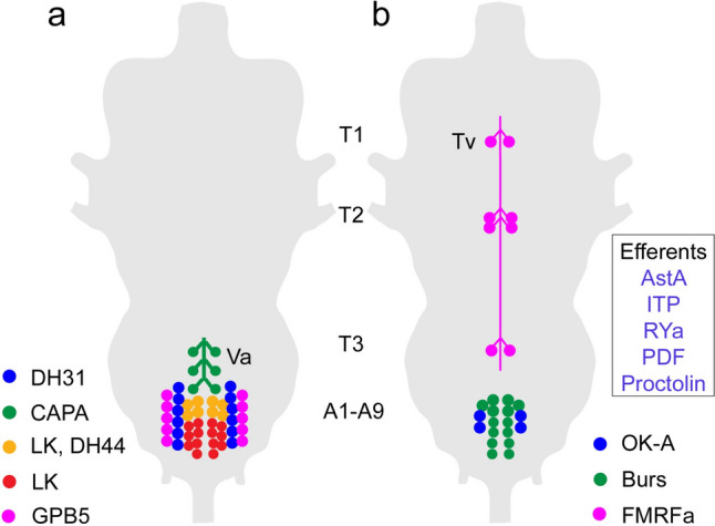 Fig. 3