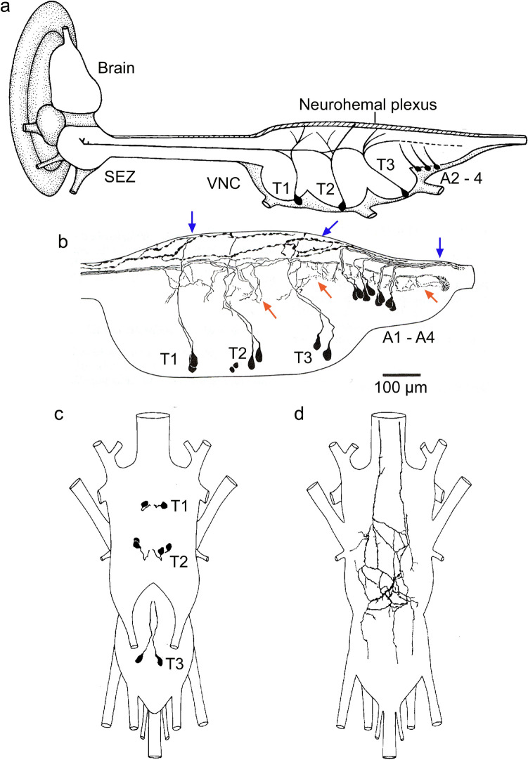 Fig. 2