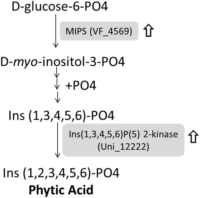 Fig 5