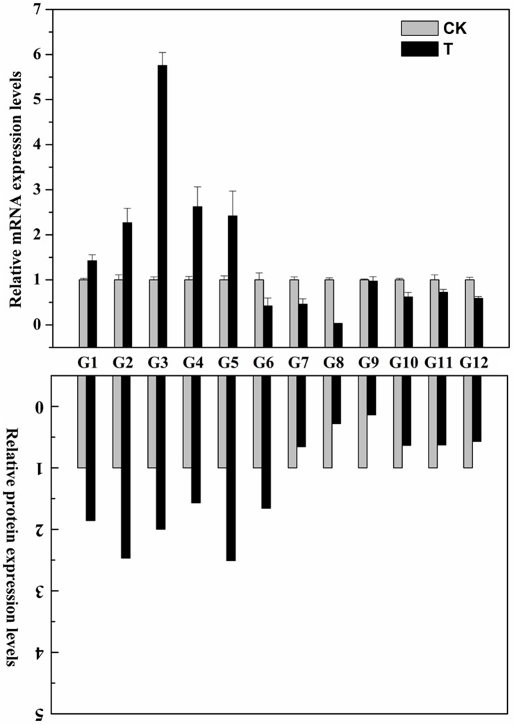 Fig 6