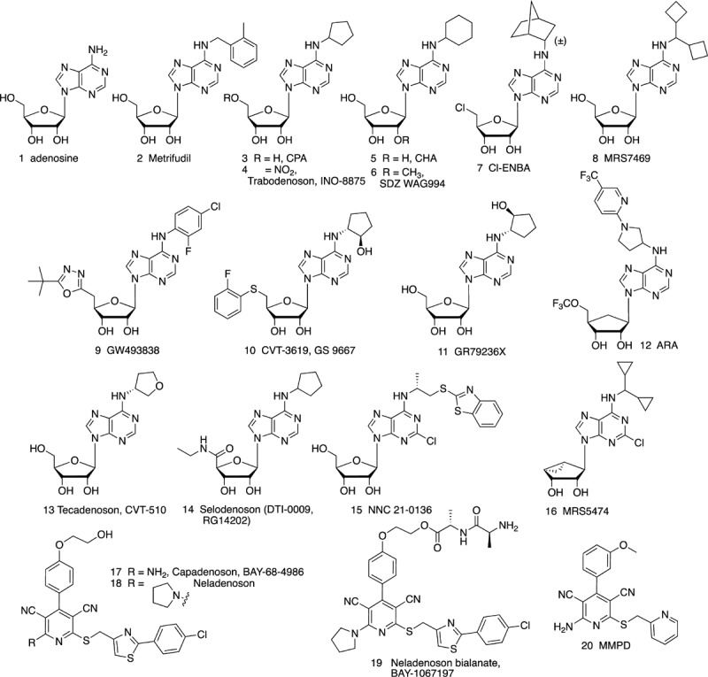 FIGURE 1