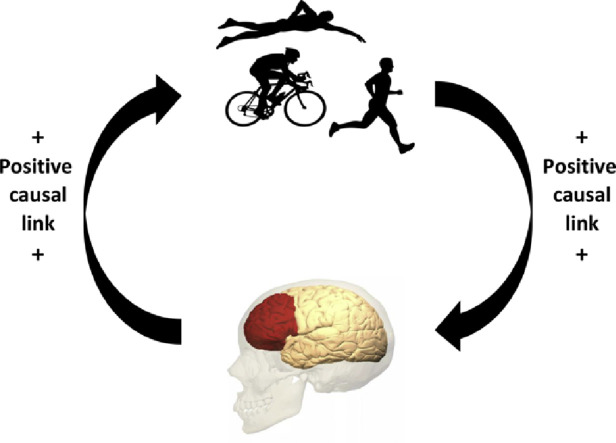 Image, graphical abstract