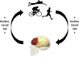 Image, graphical abstract