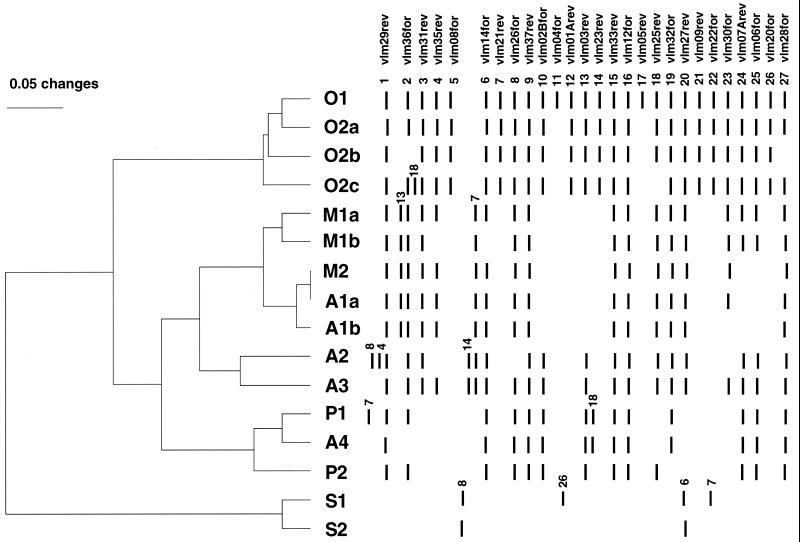 FIG. 1.