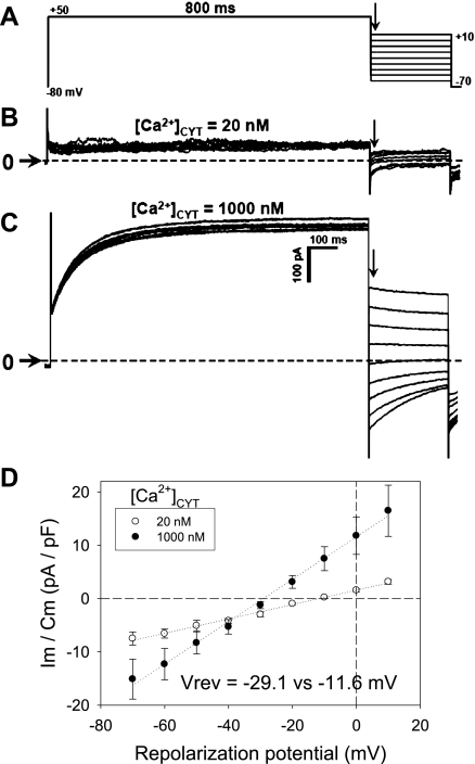 Fig. 3.