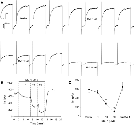 Fig. 6.