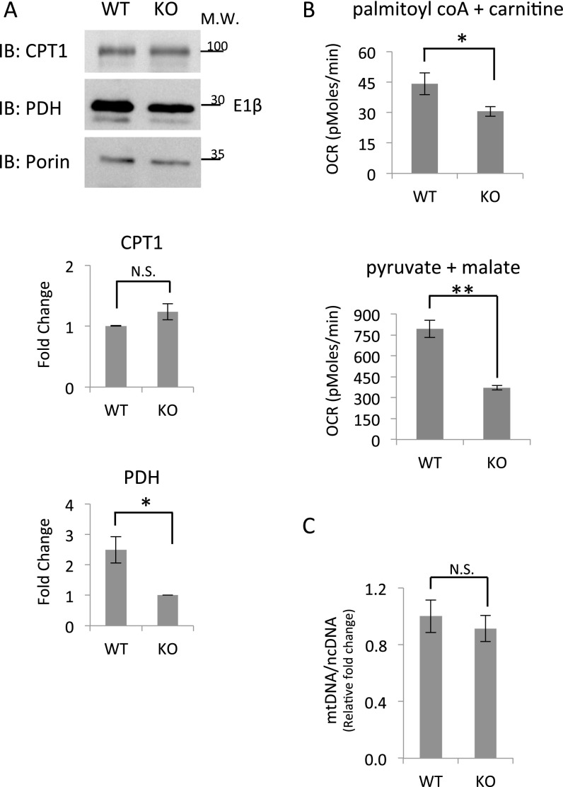 Fig. S6.