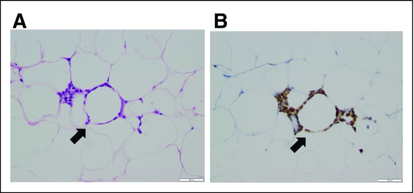 Fig 2.