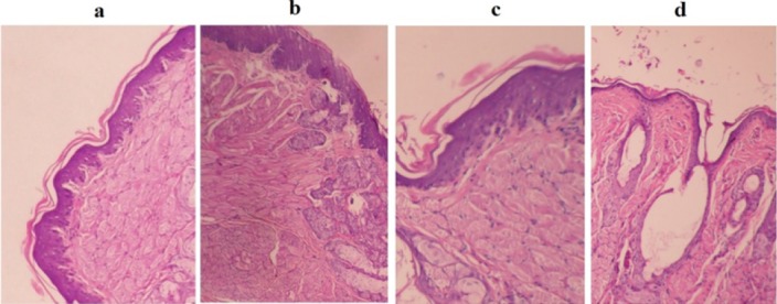 Fig. 5