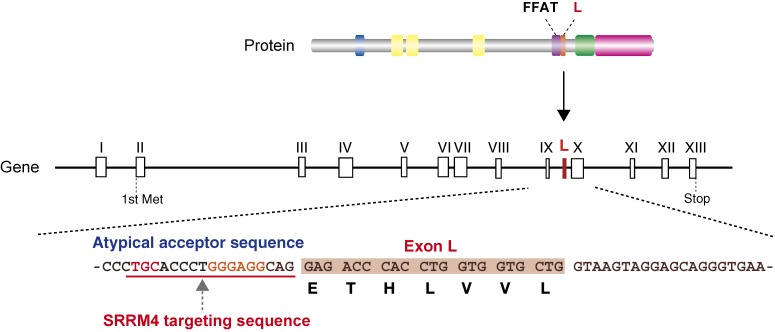 Figure 11. 