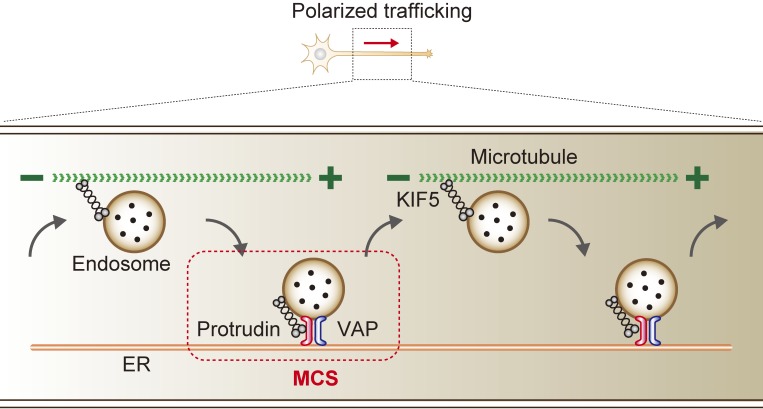 Figure 10. 