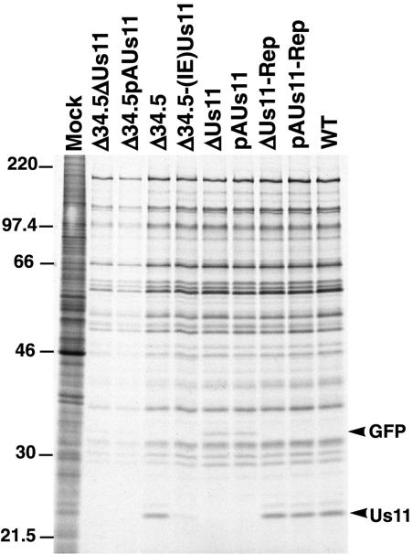 FIG. 5.