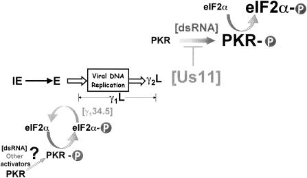 FIG. 8.