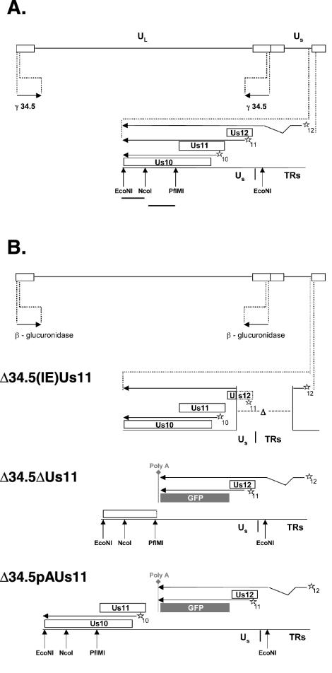 FIG. 1.