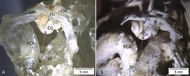 Fig. 1