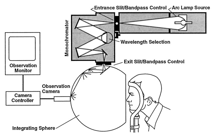 Fig. 1.