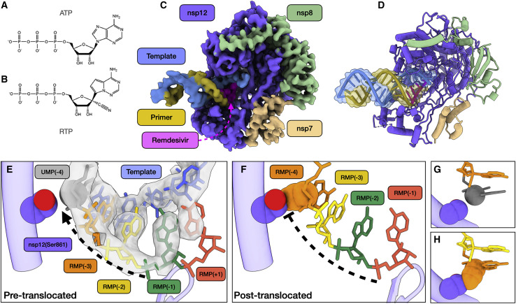 Figure 2