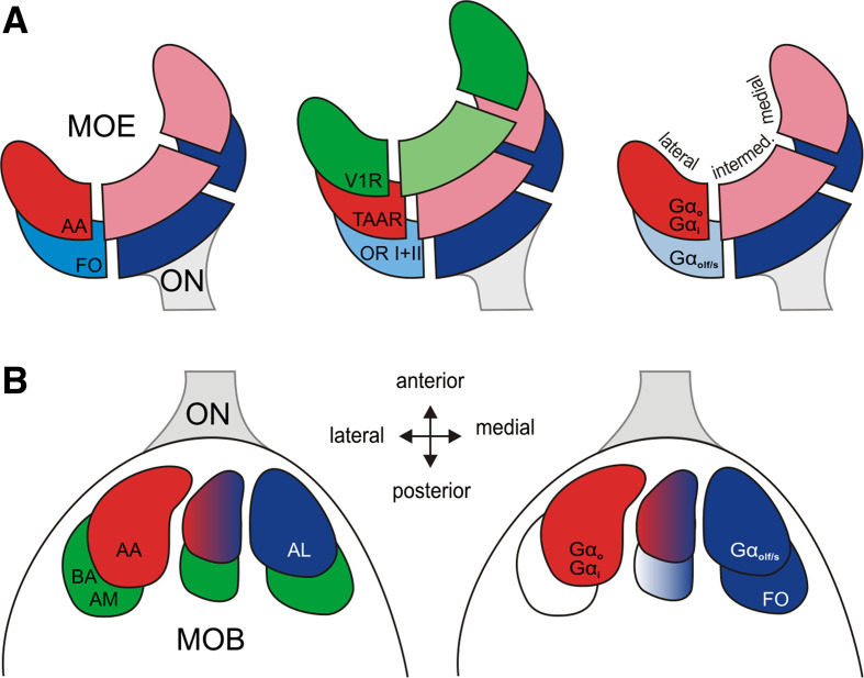 Fig. 8