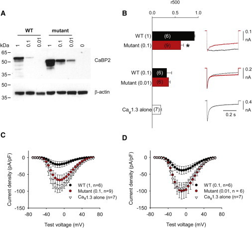 Figure 5