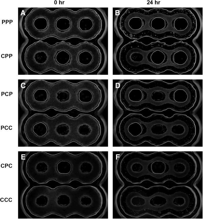 FIG. 6.