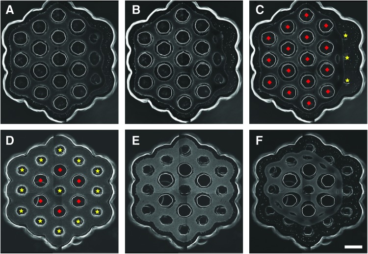 FIG. 8.