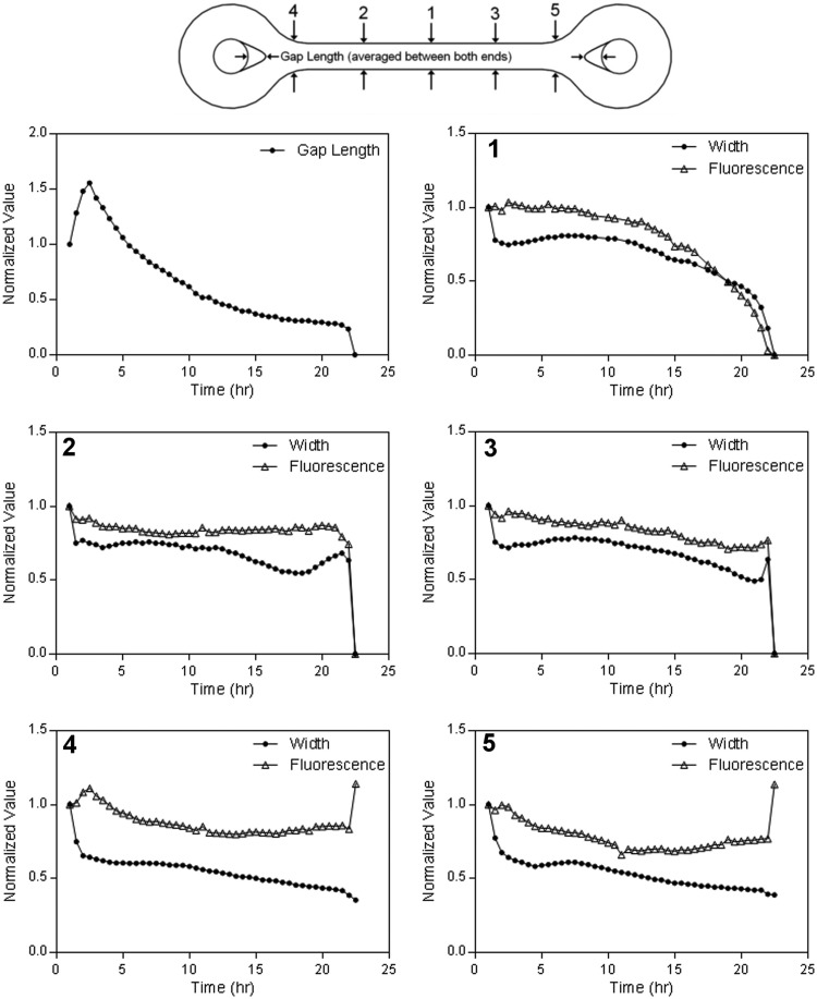 FIG. 3.