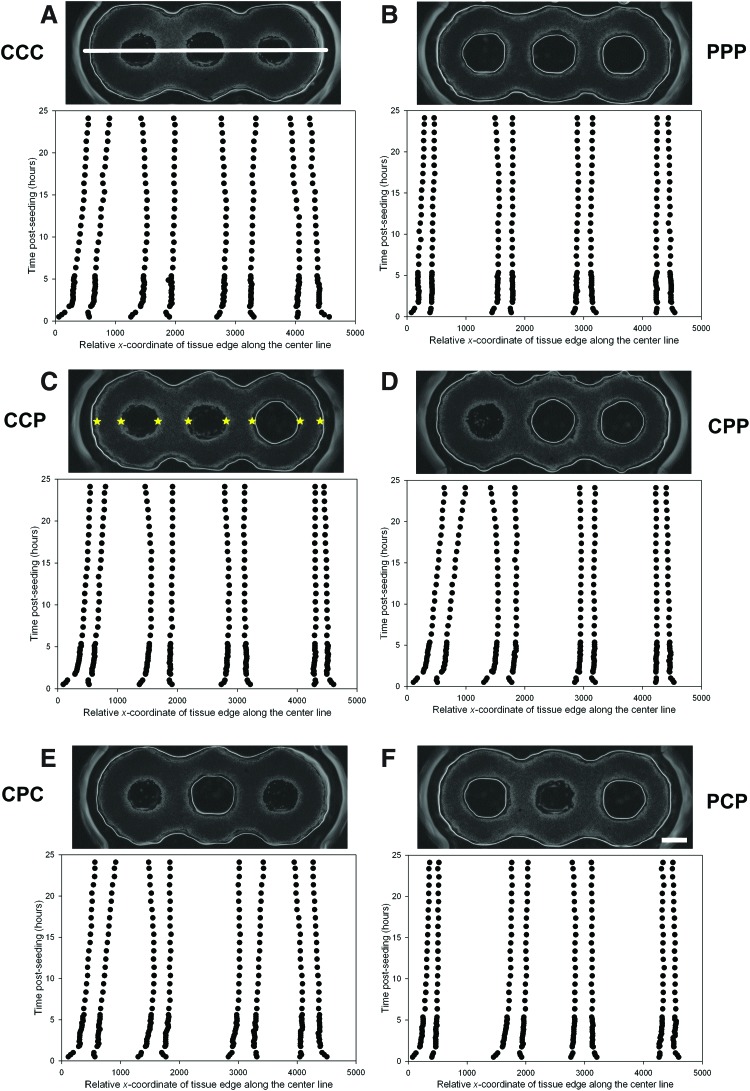 FIG. 7.