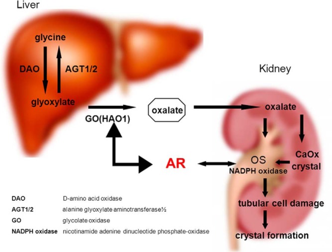 Figure 7.