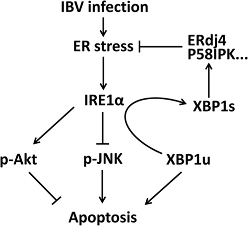 FIG 7