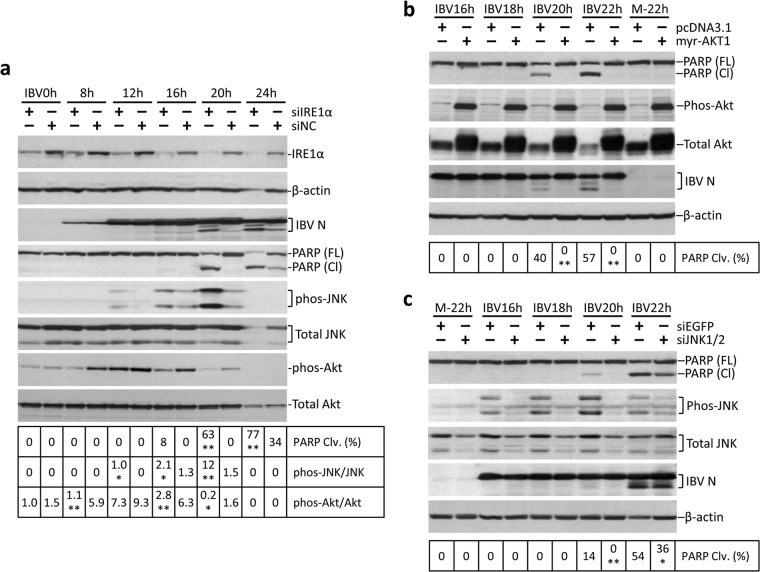 FIG 6