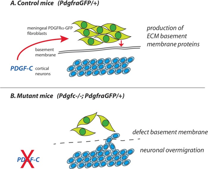 Fig. 11.