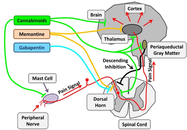 Figure 6.