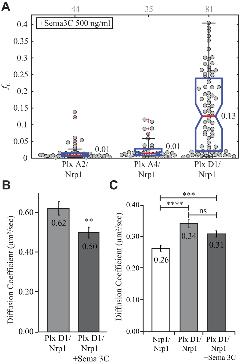 Figure 6