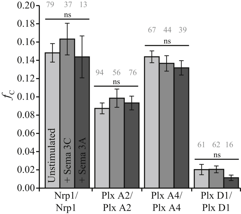 Figure 5