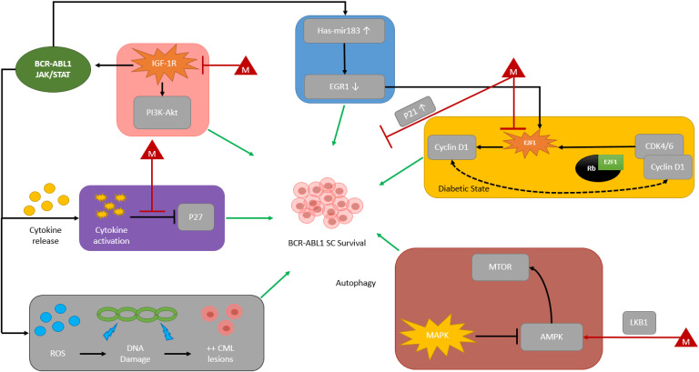 Figure 1.