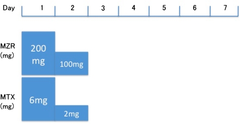 Fig. 1