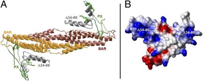 Fig. 3.