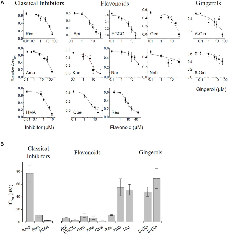 FIGURE 3