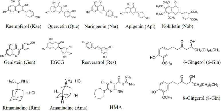 FIGURE 2